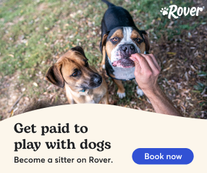 Rover - Stay connected to your pet while you're away with a sitter on Rover