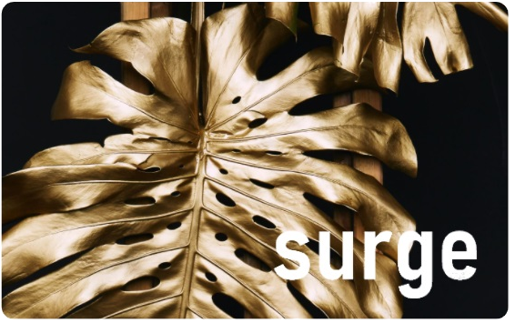 Club Surge Gift Card