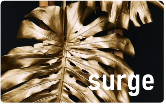 Club Surge Gift Card