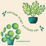 Celebrate Plant a Flower Day 2025