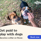 Rover - Stay connected to your pet while you're away with a sitter on Rover