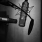 IMN Artist Profile